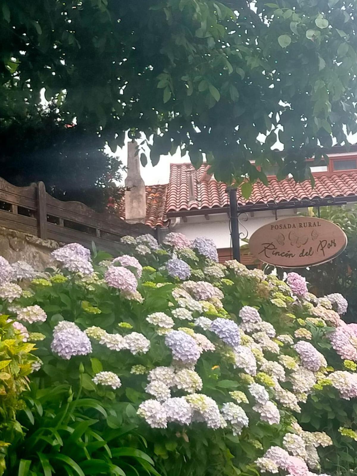 Posada Rincon Del Pas Puente Viesgo Exteriör bild